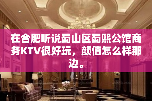 在合肥听说蜀山区蜀熙公馆商务KTV很好玩，颜值怎么样那边。
