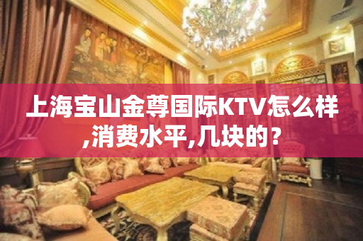 上海宝山金尊国际KTV怎么样,消费水平,几块的？