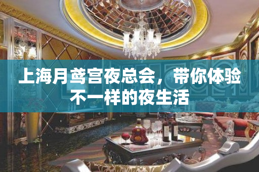 上海月鸢宫夜总会，带你体验不一样的夜生活