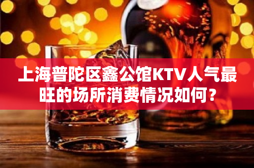 上海普陀区鑫公馆KTV人气最旺的场所消费情况如何？