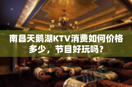 南昌天鹅湖KTV消费如何价格多少，节目好玩吗？