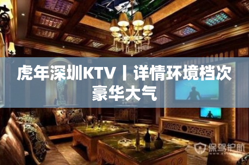 虎年深圳KTV丨详情环境档次豪华大气