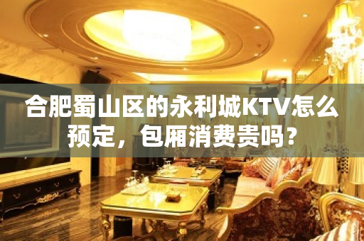 合肥蜀山区的永利城KTV怎么预定，包厢消费贵吗？