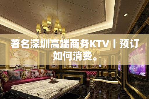 著名深圳高端商务KTV丨预订如何消费。