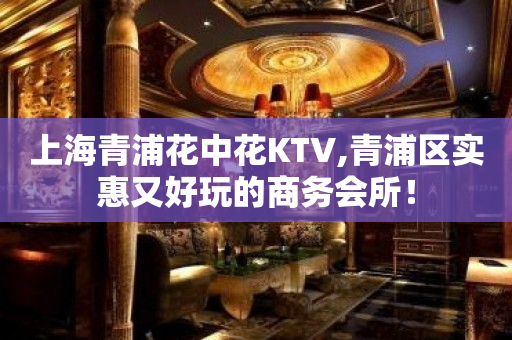 上海青浦花中花KTV,青浦区实惠又好玩的商务会所！