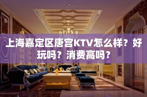 上海嘉定区唐宫KTV怎么样？好玩吗？消费高吗？