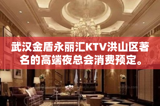 武汉金盾永丽汇KTV洪山区著名的高端夜总会消费预定。
