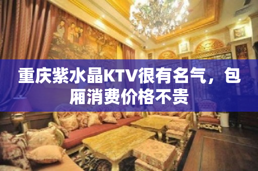 重庆紫水晶KTV很有名气，包厢消费价格不贵