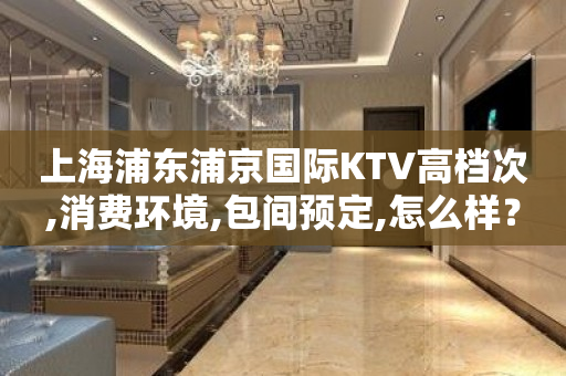 上海浦东浦京国际KTV高档次,消费环境,包间预定,怎么样？